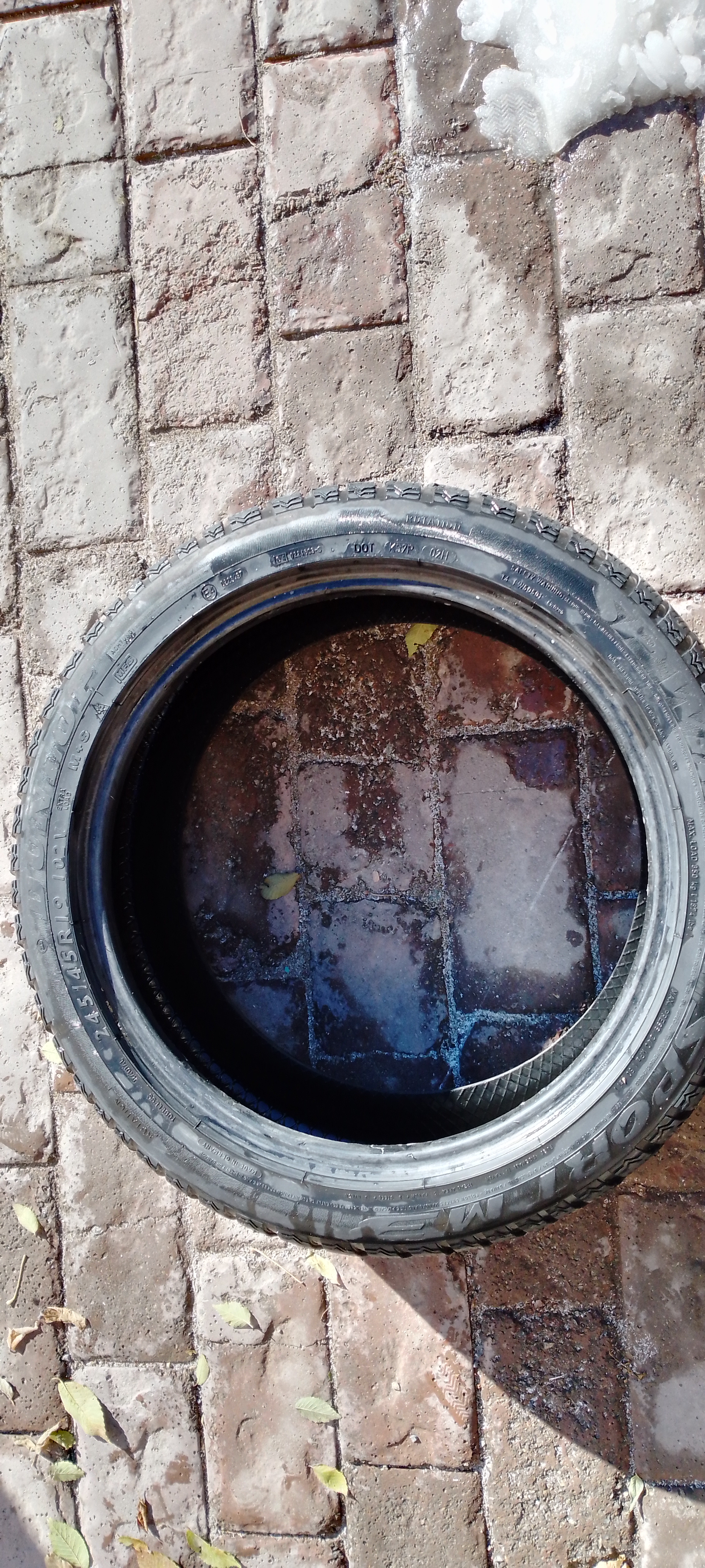 Шина — фото из гаража